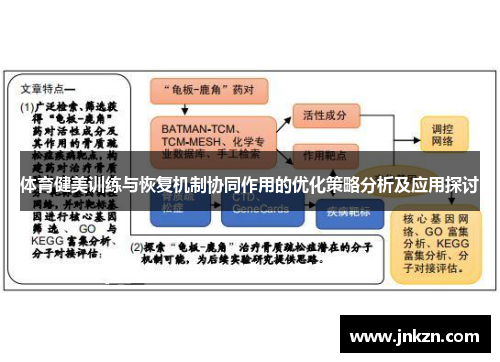 体育健美训练与恢复机制协同作用的优化策略分析及应用探讨